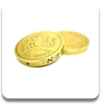 Match & Tournament Fees