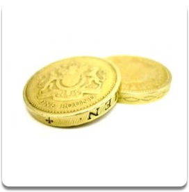 Training Fees